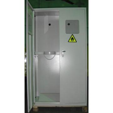 禄米 全钢气瓶柜 化验室储存柜 LM-QPG52512