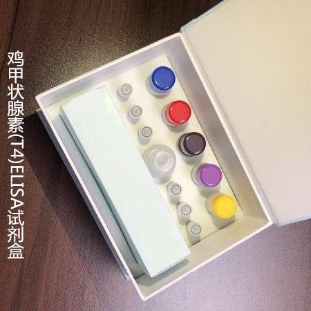 鸡甲状腺素(T4)ELISA试剂盒  WSJH50003B  48T 维克奇图片