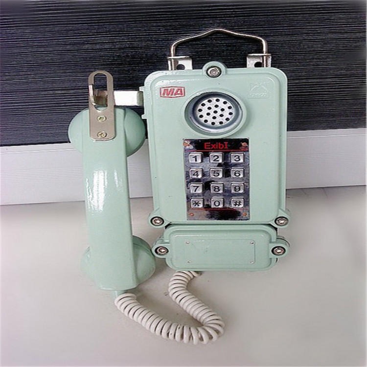 九天KTH-16双音频按键电话机     矿用双音频按键电话机特征图片