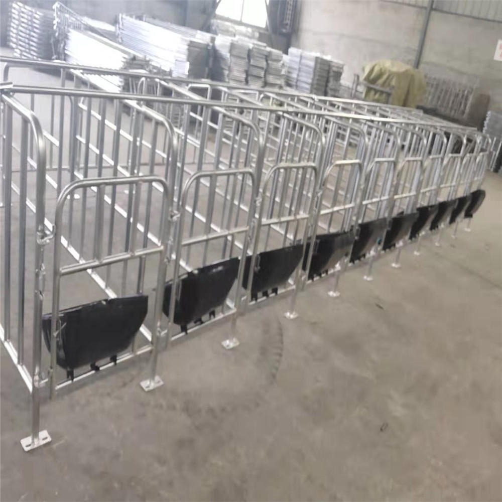 畜牧业机械 母猪定位栏 养猪设备限位栏 世昌