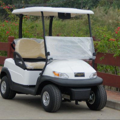 新款 电动高尔夫球车 鸿畅达 高尔夫观光车 景区酒店场地通用，2座 电动观光车 A1S2