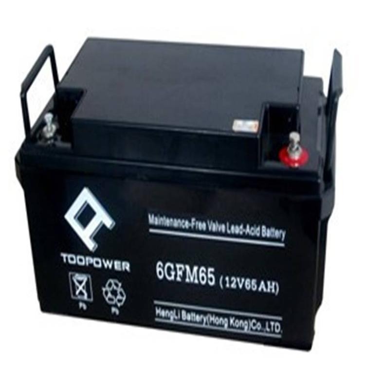天力蓄电池6GFM65  厂家直销   天力蓄电池12V65AH  铅酸免维护蓄电池  质保三年