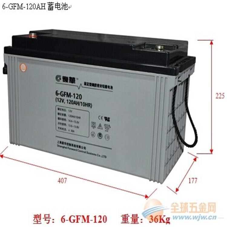 复华蓄电池6-GFM-120 复华12V120AH 直流屏UPS电源配套蓄电池 阀控式免维护蓄电池 现货供应