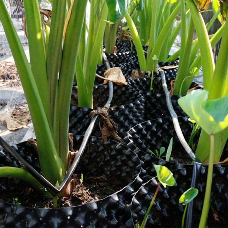 果园移栽控根器 蓝莓培育控根器 容根器 一匡 批发价格