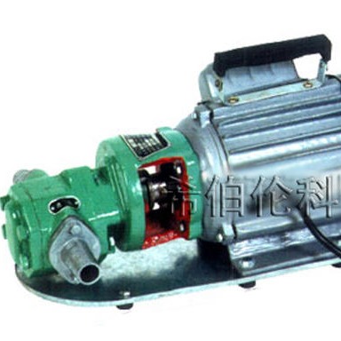 WCB微型齿轮油泵     齿轮泵图片