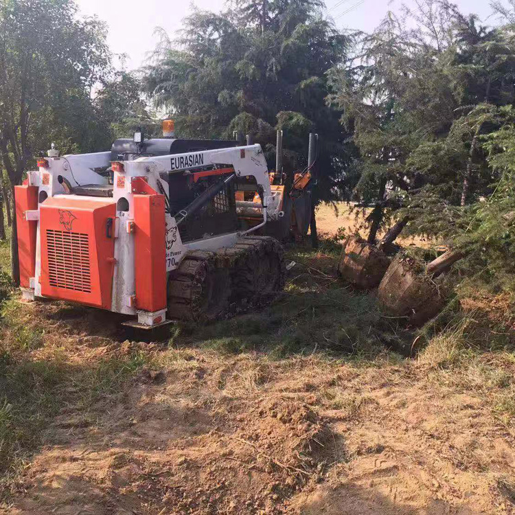 厂家直销园林挖树机  小型挖树移树机   小型铲车配挖树机厂家   浣熊