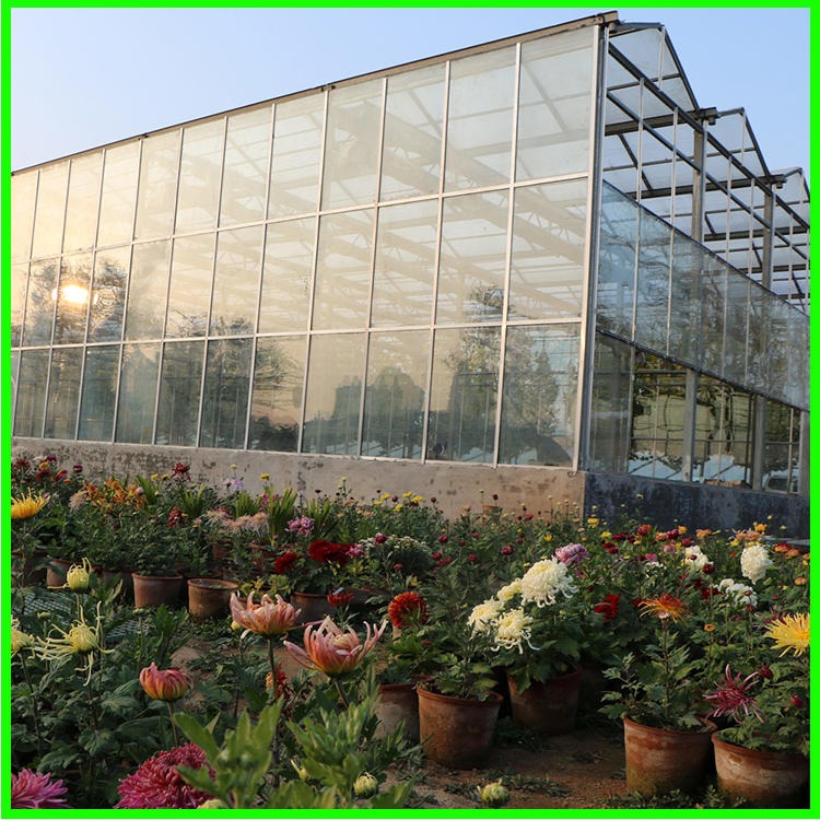 生态玻璃温室 智能玻璃温室大棚 玻璃温室大棚建设 嘉诺温室厂家直供
