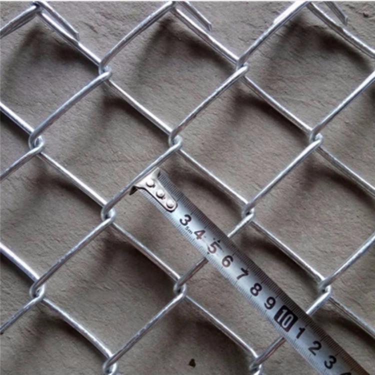 护坡铁丝网生产厂家加工植草边坡防护网  14#铁丝网机编边坡挂网 亚奇定做图片