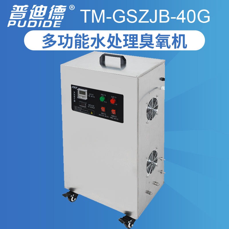 普迪德TM GSZJB 30G水处理臭氧消毒机 臭氧消毒机