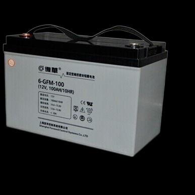 上海复华蓄电池6-GFM-100  复华12V100AH 直流屏免维护电池 ups应急电池