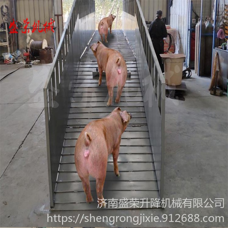 斜坡式卸猪台 猪场卸猪平台 斜坡装猪台  盛荣装猪升降斜坡桥 定做卸猪台 装猪台厂家SJG3-3图片