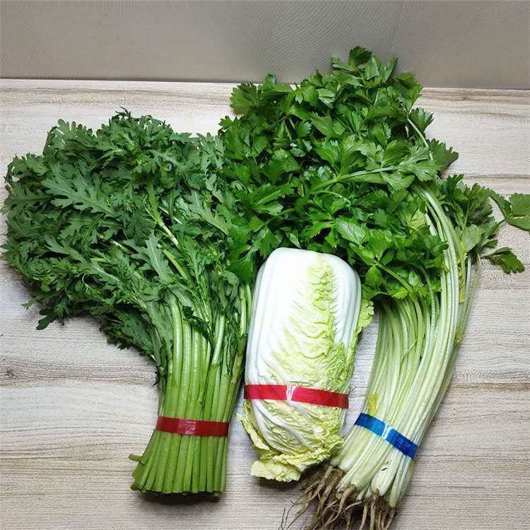 山东厂家 蔬菜捆扎机 白菜大葱捆绑机 不锈钢opp无胶束带机价格