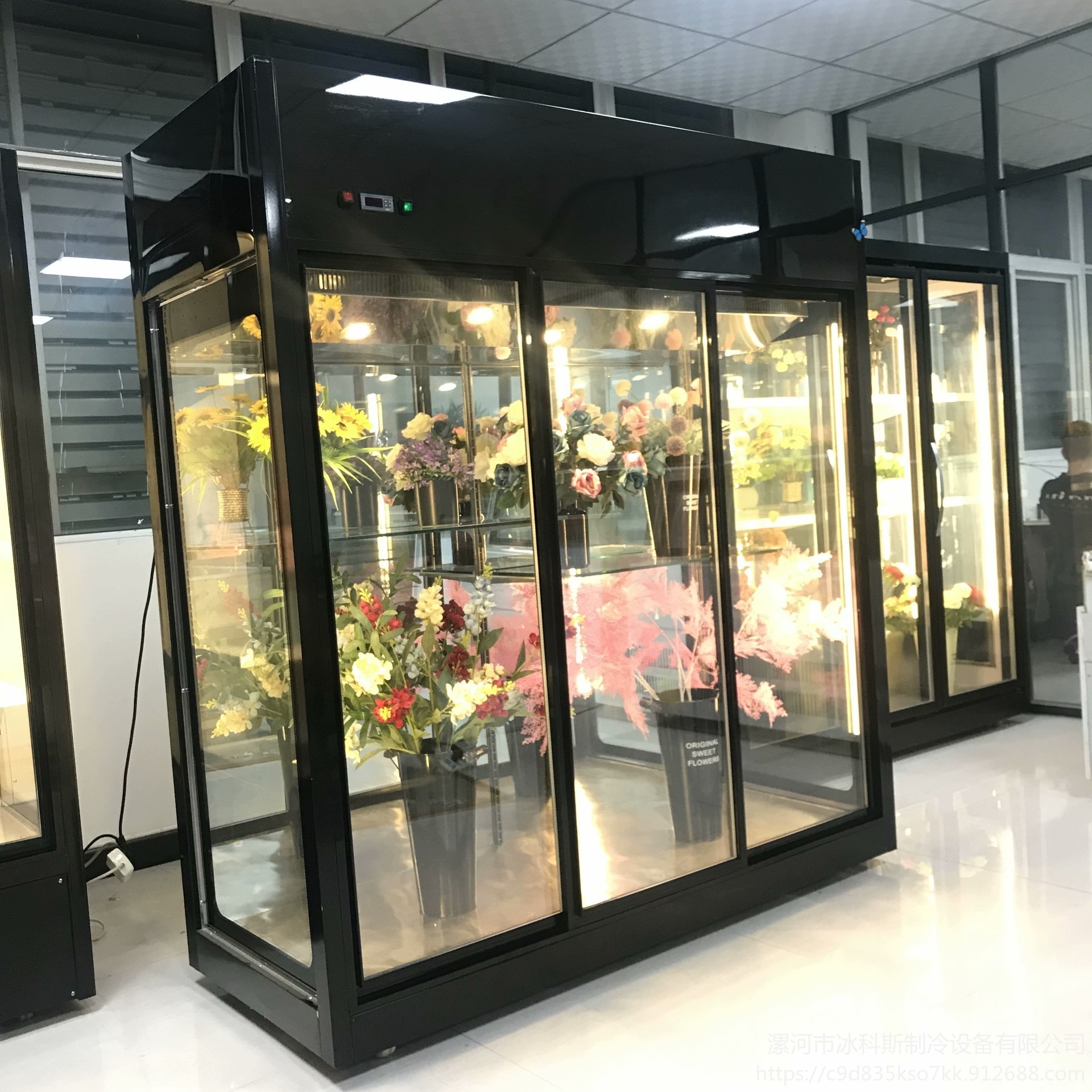 杭州鲜花冷柜  鲜花柜厂家 鲜花柜价格  工厂直销 未来雪冷柜定制  WLX-XH-160