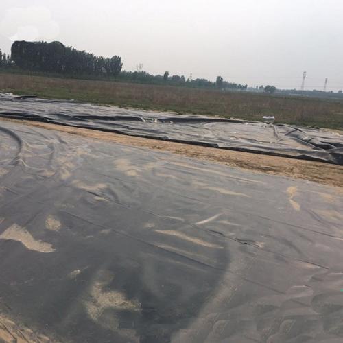 台州供应土工膜  生活污水处理场防渗膜  防渗膜价格图片