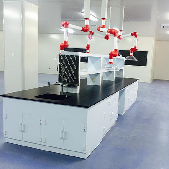 禄米 实验室耐酸碱PP实验台 实验室家具定制 LM-SYT52703