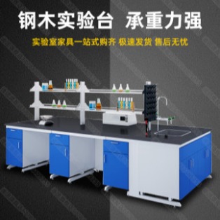 重庆 实验室工作台试验桌全钢操作台钢木学校中台边台实验台
