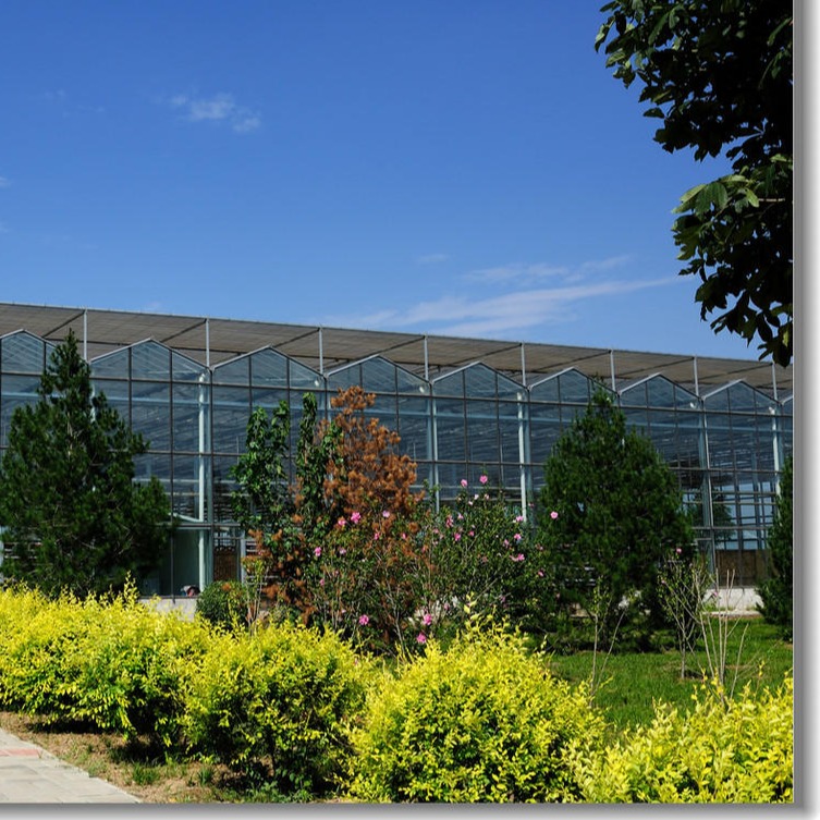 博伟 现代大棚 日光连体玻璃温室 生态玻璃温室大棚