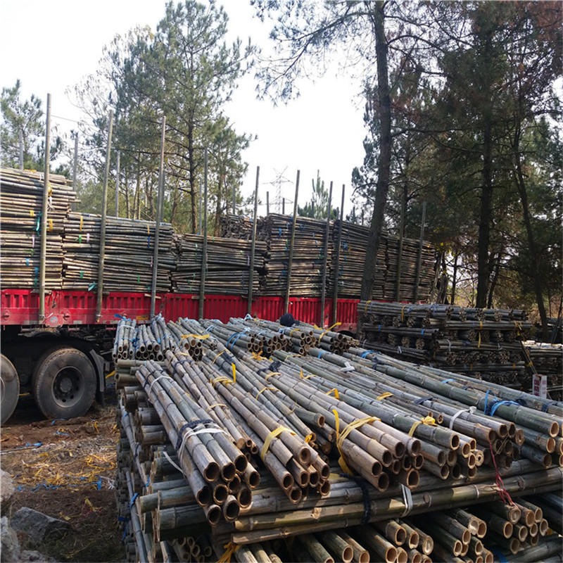 大量批发2米树木支撑杆 绿化支撑杆
