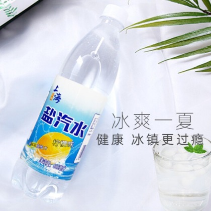上海牌盐汽水量大批发价 批发销售上海牌盐汽水600ml24