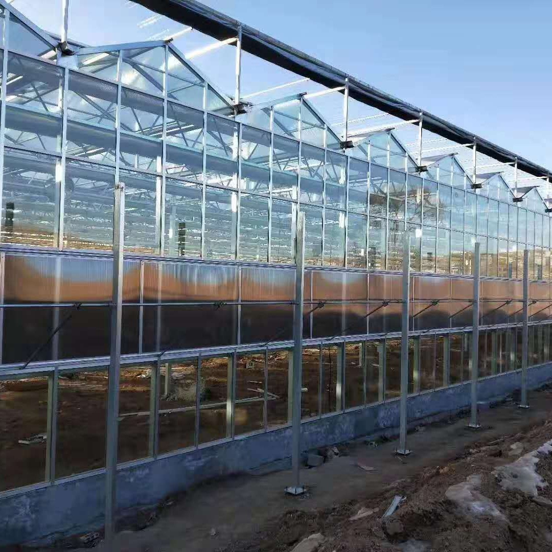 青州鑫泽厂家直销 专业玻璃温室设计 专业玻璃大棚建造安装