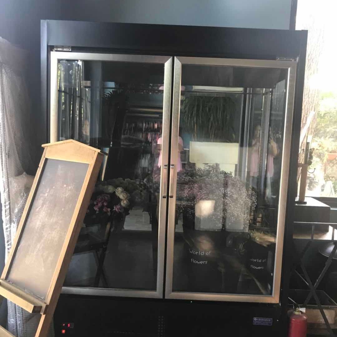 风冷冰箱 鲜花冷柜 保鲜花植物陈列柜 立式展示柜 厂家定制 未来雪冷柜定制  WLX-XH-98