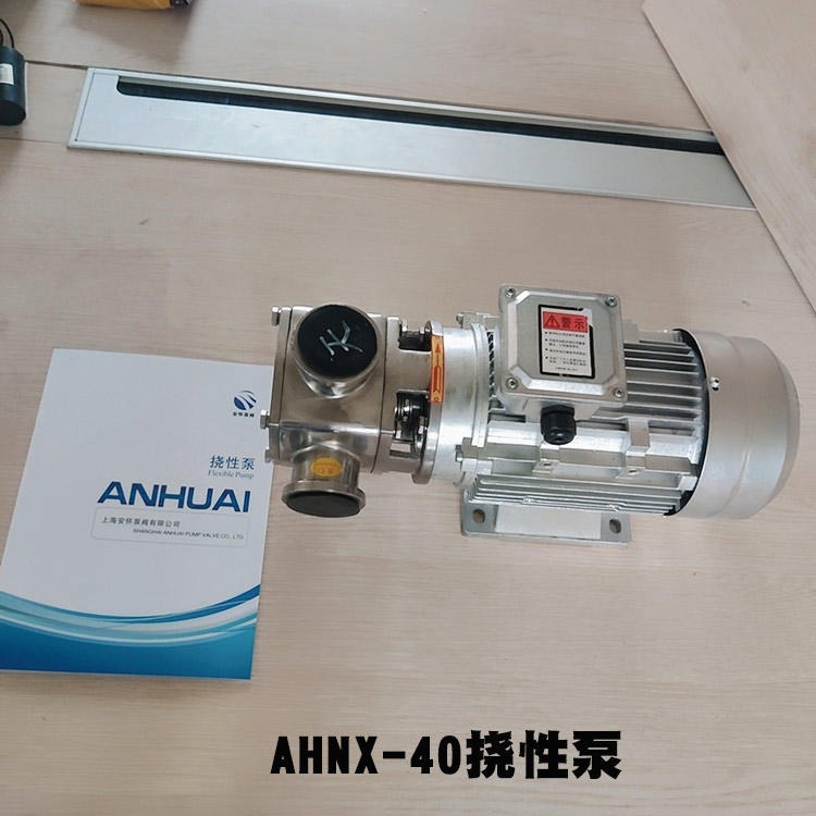 上海安怀挠性泵 RXB-15调味料自吸泵图片