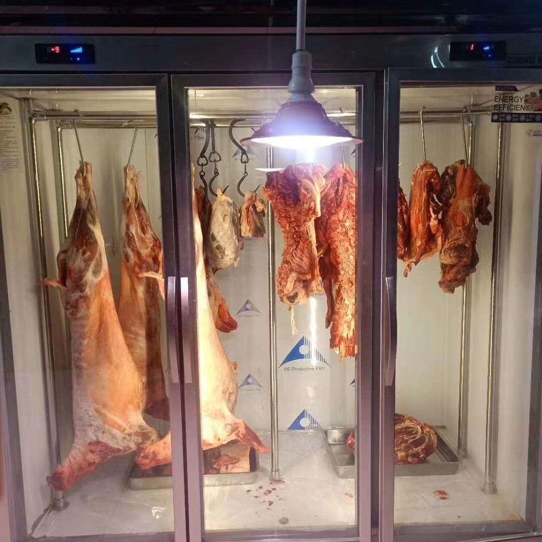 冰科斯-BKS-WLX-GR-22北京挂肉柜 酒店挂肉柜 后厨挂肉柜 火锅店挂肉柜  烤肉店冷藏柜 商用挂肉柜厂家图片