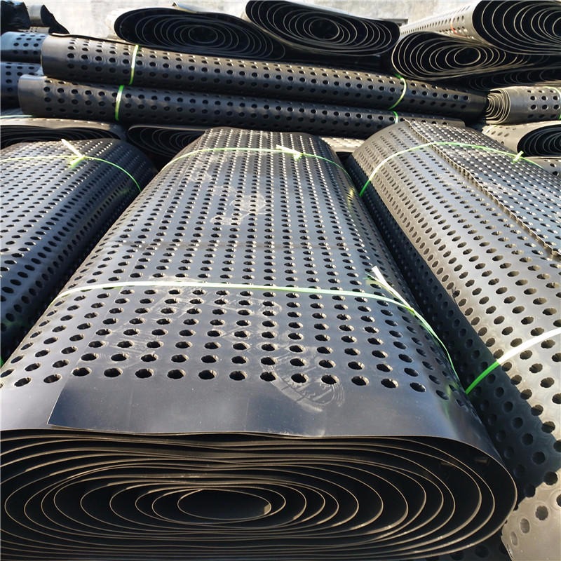 乐陵排水板厂家 HDPE排水板价格 屋面种植滤水板 塑料排水板 20蓄排水板图片