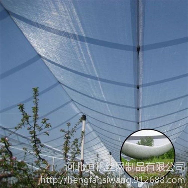 恒帆：4米防雹网防鸟网，防冰雹网市场价，防雹防霜白色网，葡萄粘鸟网