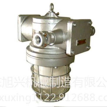 DGS40/127Y（A)矿用隔爆型无极荧光灯 专门用途灯具 防爆灯具