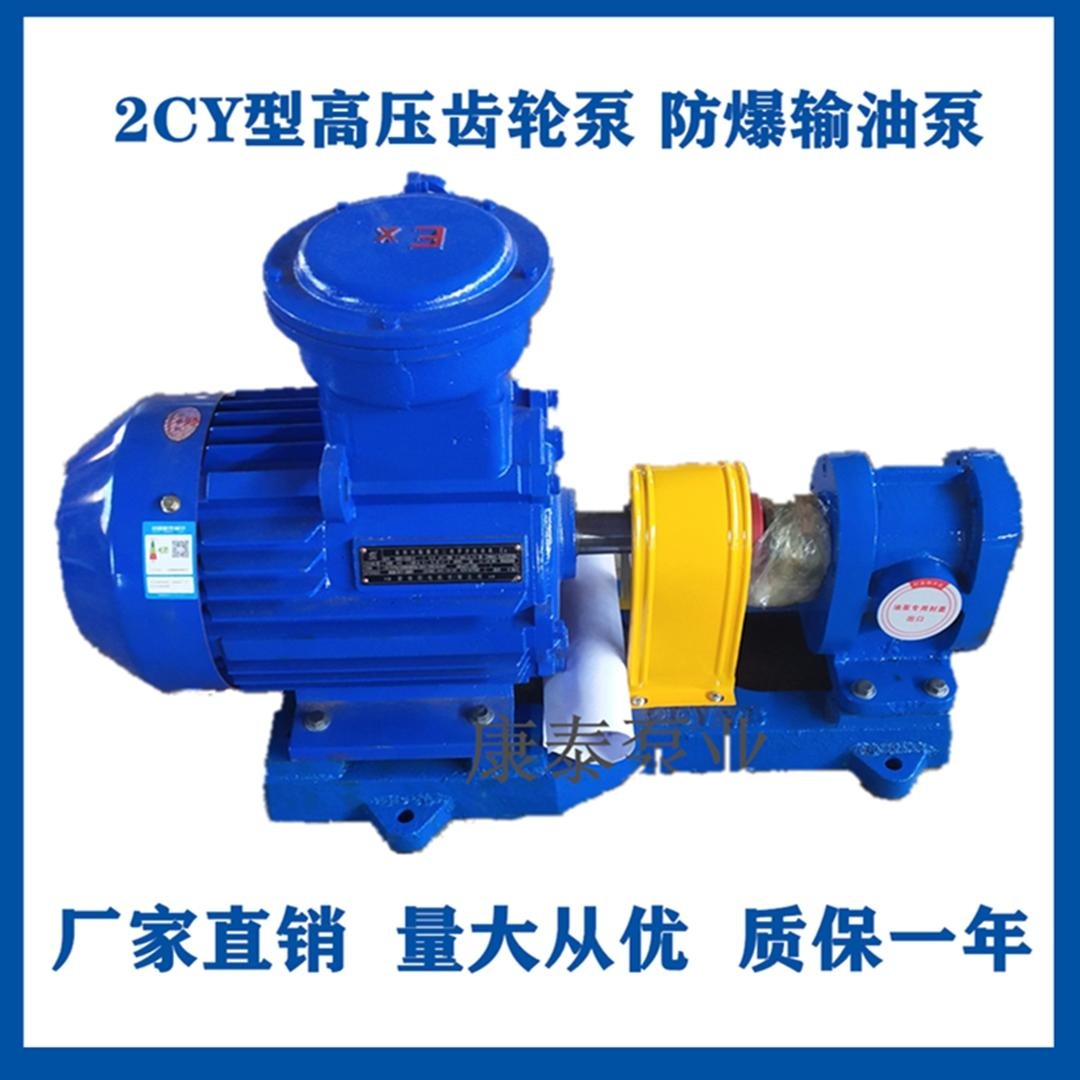 泊头齿轮泵 2CY系列高压齿轮泵 增压泵 泊头齿轮泵厂家