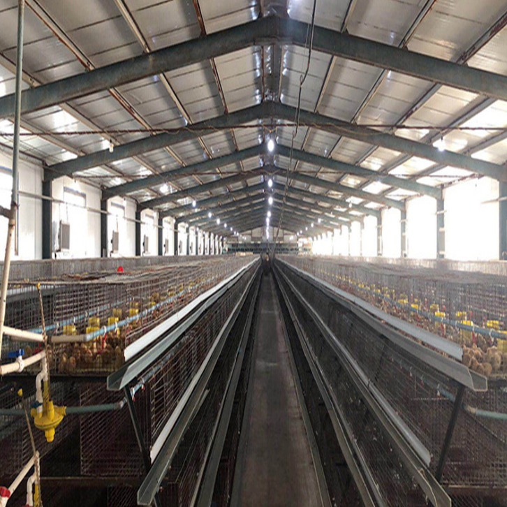 亿泽厂家定做 层叠式阶梯式鸡笼 现货供应鸡笼鸡舍定做