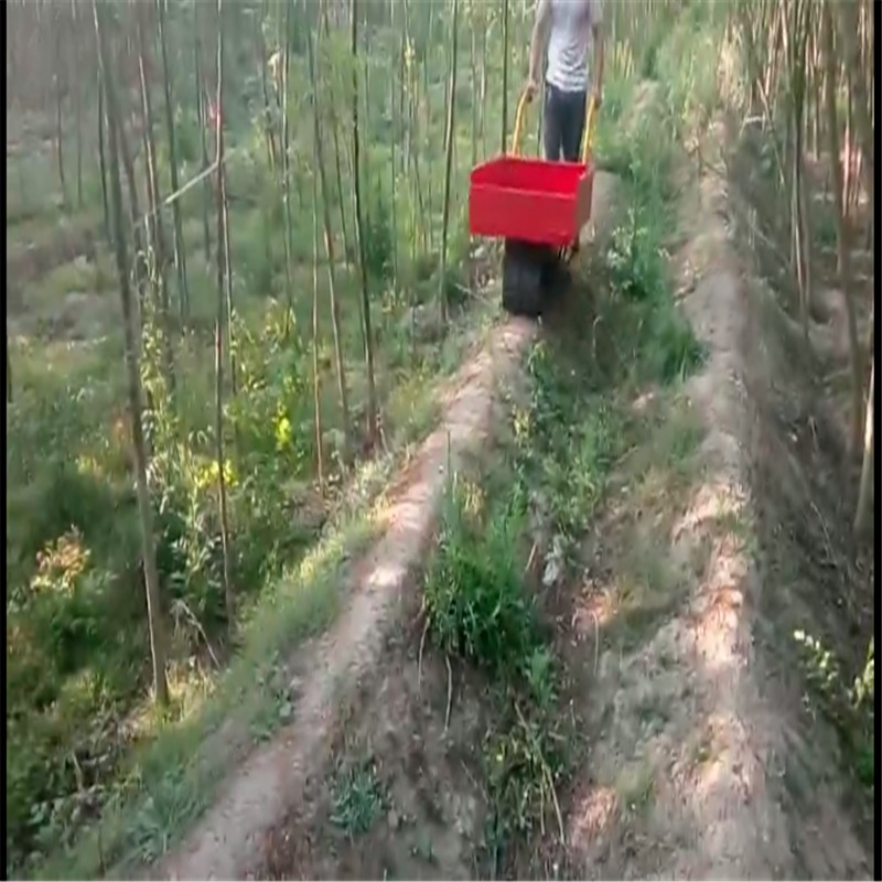 小型手扶履带运输车 农用陡窄路面种子化肥运输工具 可爬坡的小型履带车