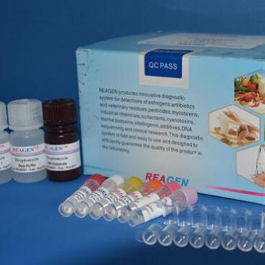 大鼠S100蛋白试剂盒 S-100试剂盒 S-100 ELISA图片