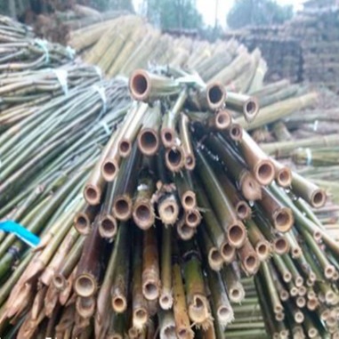 京西竹业 低价批发种植山药用的大小竹竿 江西发货 源头供应 质量保障