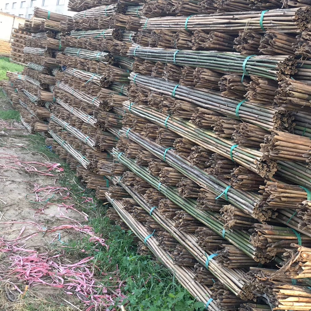 至诚毛竹制品 厂家直发农业2.2米2.5米菜架杆，3米菜架杆批发