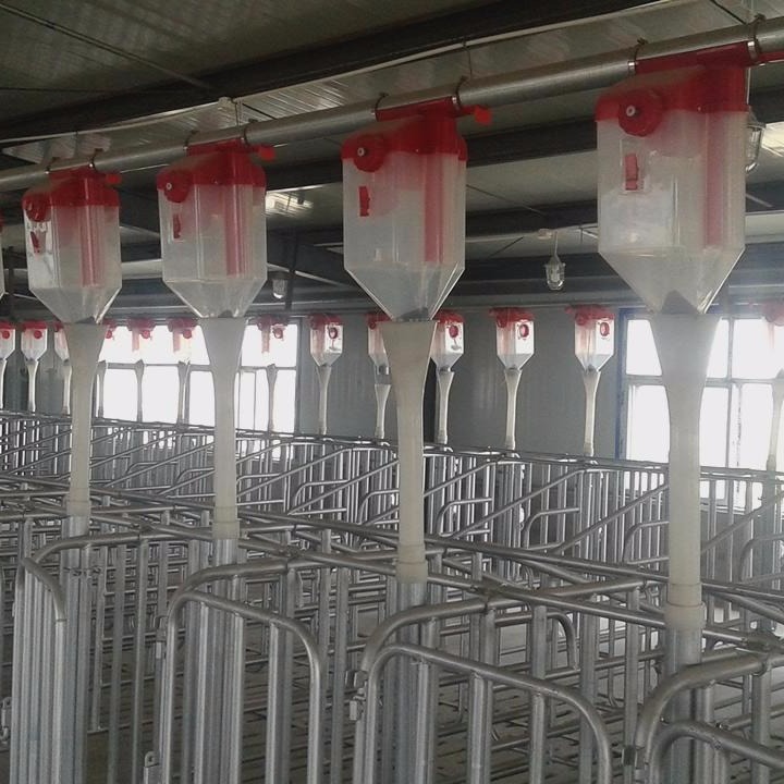 新建猪场自动下料设备料线设计厂家世昌畜牧