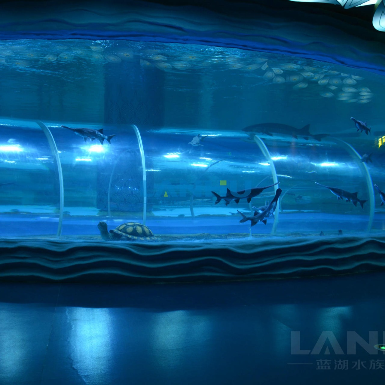 lanhu 海洋馆工程 大型亚克力鱼缸 有机玻璃水族箱鱼缸海水鱼缸设计