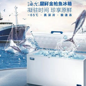 Haier/海尔深圳深海鱼冰箱  -60度冰箱不锈钢内胆  DW-60W388 垂钓者锁鲜选择