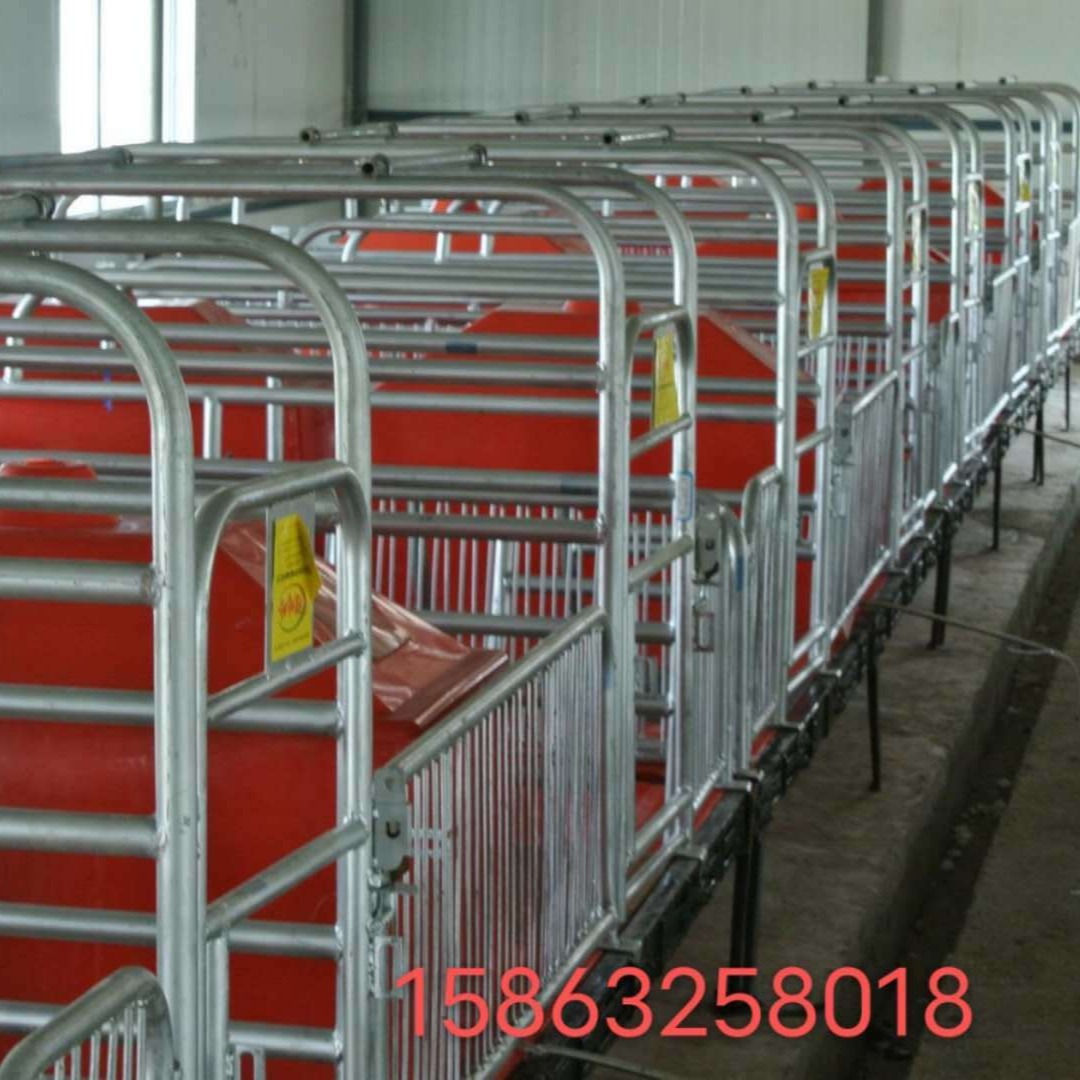 70 养猪设备 新胜顺 母猪产床 猪产床 厂家直销