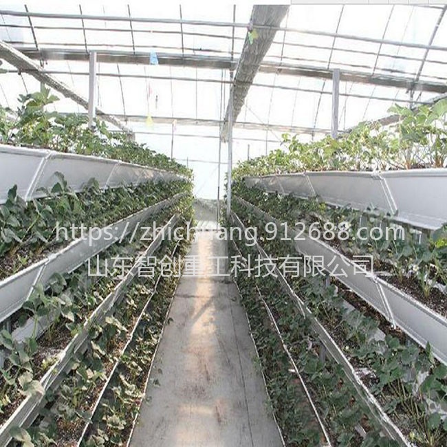 智创ZC-1 草莓立体种植架价格,草莓立体种植架用途,农业机械图片