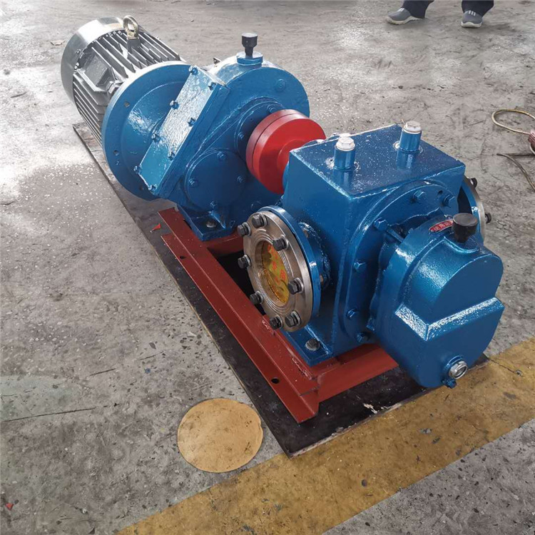 华海泵业 高粘度保温罗茨泵报价 18方高粘度转子泵