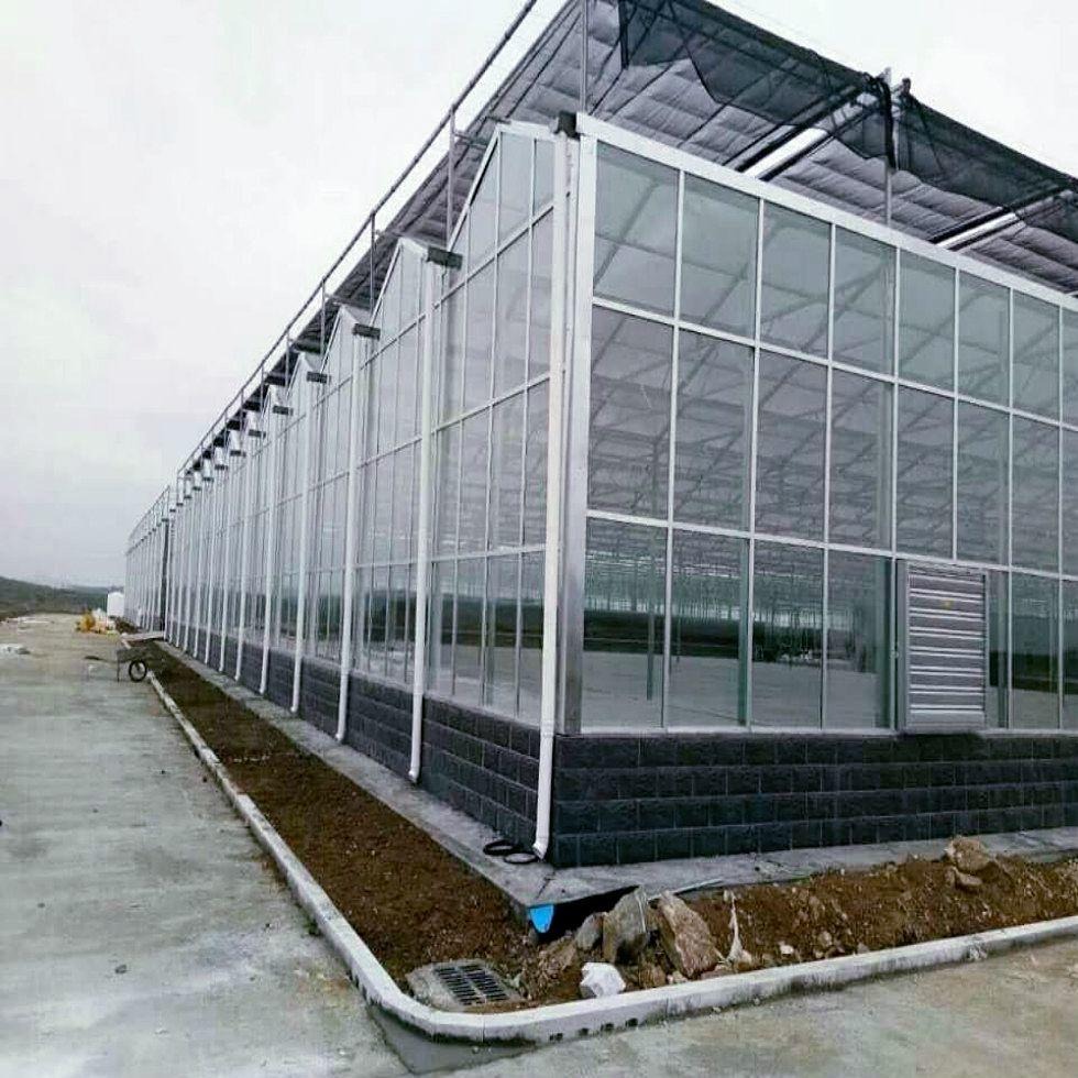 盆景玻璃温室 果蔬种植玻璃大棚 玻璃温室 博伟 欢迎致电