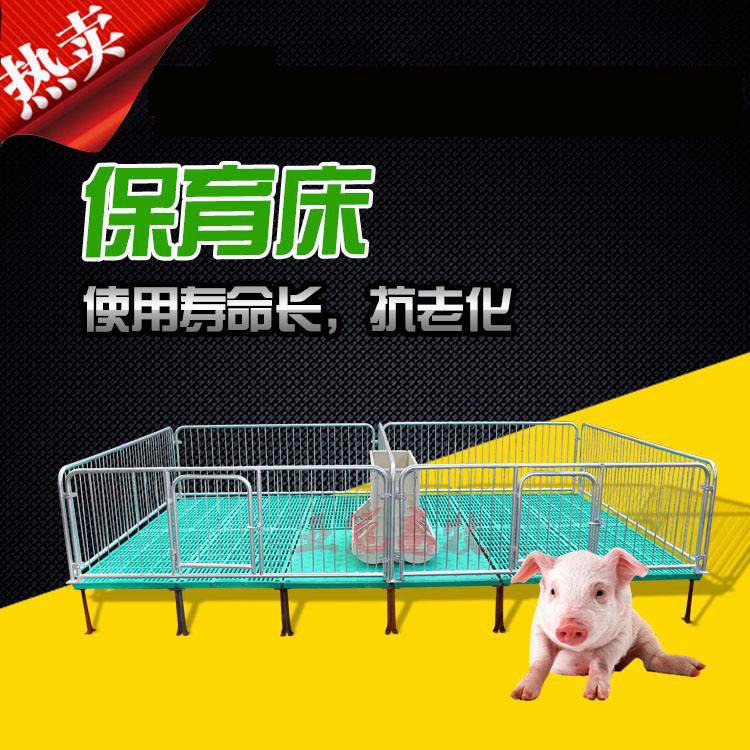 河北亚冠优质猪用，专业生产YG-01，双体仔猪保育床，普通小猪保育床价格合理