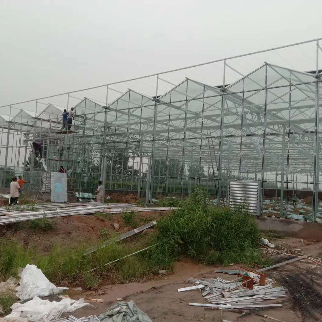 中亚出口玻璃温室 连栋温室 玻璃连栋温室 温室大棚 钢化玻璃温室大棚