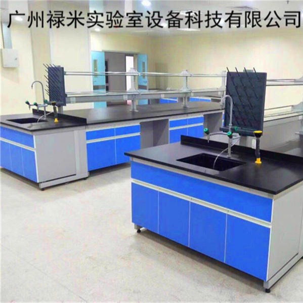禄米实验室 边柜 实验台 钢木实验台 理化板台面 实验室家具厂家直销 LM-SYT10800