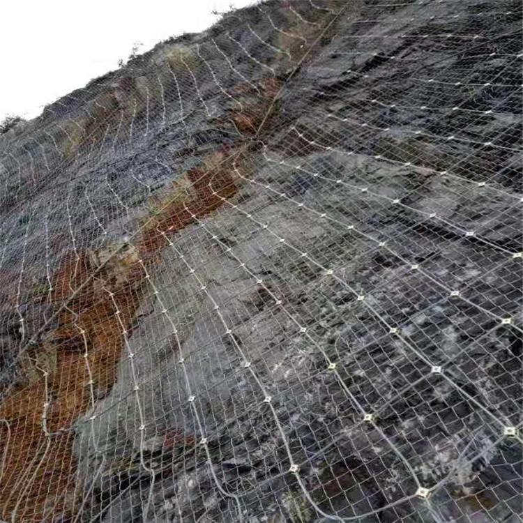 衡水sns边坡防护网 安平环形网厂家 阳迪 钢丝绳网 主动防护网 被动防护网 生产