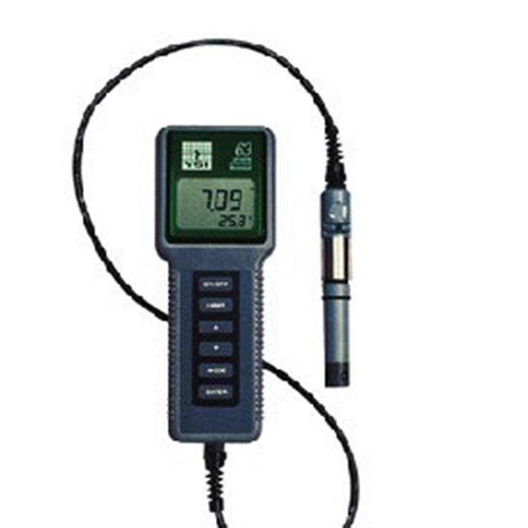 美国YSI 63型酸度、盐度、电导、温度测量仪图片