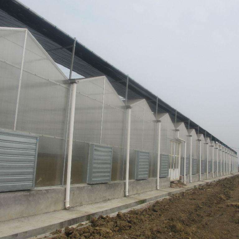 潍坊建达温室 阳光板智能温室 阳光板温室大棚  连栋阳光板温室加工 连体温室