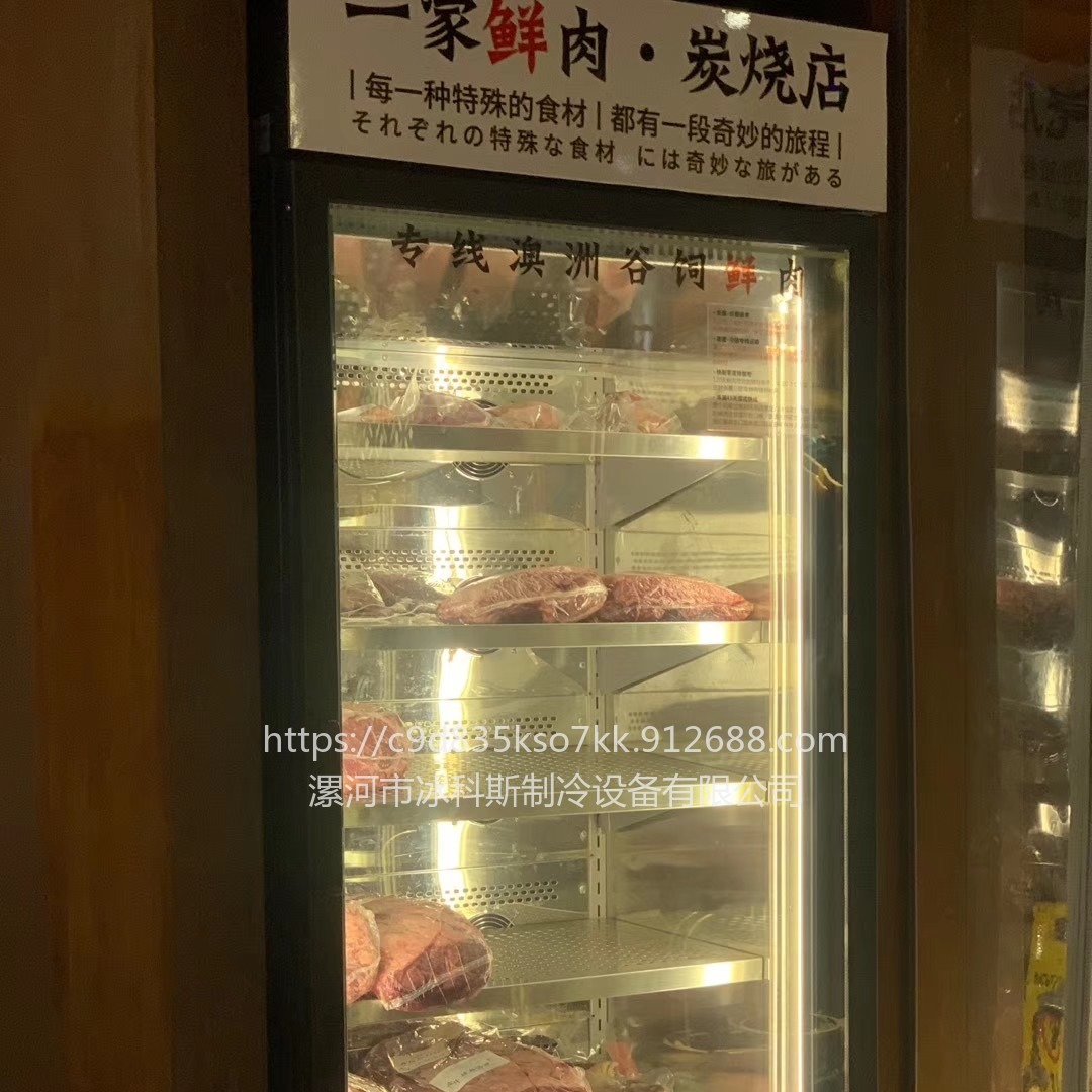 牛肉熟成柜 小型牛肉柜 羊排排酸柜价格 未来雪冷柜 工厂定制  未来雪冷柜 WLX-NR-91图片